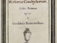 Frontispice "Historiae conchyliorum" ed 1685 - gravures Susanna et Anna Lister