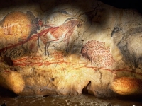 Intérieur de la grotte de Marsoulas (Pyrénnées). Une espèce de conque (Charonia lampas) découverte dans cette grotte semble avoir été aménagée pour émettre des sons  - Crédits AFP