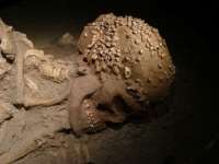 Squelette de la Dame de Cavillon et sa coiffe de coquillages - Grotte Grimaldi