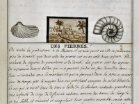 "Des pierres" recto - Histoire Naturelle des Animaux - Elie Richard 1700 - Crédit Médiathèque Michel Crépeau, La Rochelle