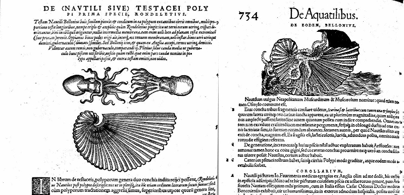 Conrad Gesner -  "Historiae animalium" Livre III (1558)
