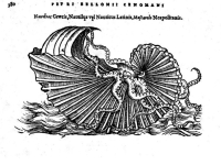Belon Pierre  "De aquatilibus libri duo" - bois ; argonaute voguant sur la mer (1553)