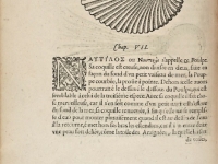 Rondelet  Guillaume "Histoire entière des poissons" VF (1558)
