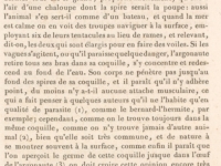 Cuvier "Règne animal" iconographie (1817)