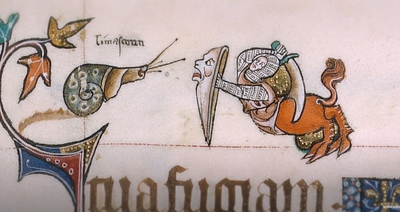 L’escargot (dextre) est confronté à un être mi-chevalier mi-lion -  inscription du mot "limaceoun" au dessus de l'escargot : limaçon ? Détail du psautier de Gorleston (1310-1324) - BLL