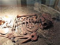Caverne des Arene Candide - squelette du 'jeune prince' -Museo archeologia de Finale, Ligurie (Italie) ligure