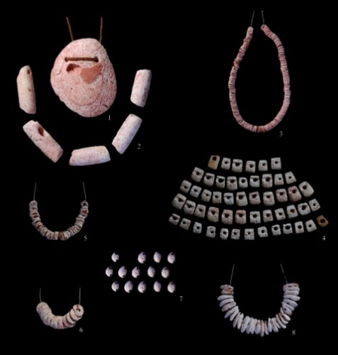 1 : Valve biforée en spondyle (Spondylus gaederopus), 2 : Perles tubulaires en spondyle (Spondylus gaederopus), 3 : Collier de perles circulaires en Cardiidés, 4 : Plastron de perles trapézoïdales en Cardiidés ou Vénéridés, 5 : Collier de petites perles en Cardiidés, 6 : Collier de grandes perles en Cardiidés, 7 : Trivia biforés, 8 : Collier de perles ovalaires en Cardiidés ou Vénéridés. Crédit S. Bonnardin