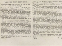 Seba Albertus - Locupletissimi rerum naturalium thesauri accurata pl 107 T4 - 1758