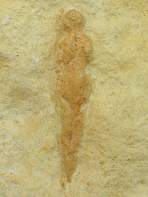 Figurine féminine dite "Vénus Pataud" sclptée sur un bloc de calcaire découverte en 1958 dans l'abri Pataud dans le village des Eyzies (Dordogne) - 22000 BP - H=20 cm