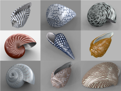 © Francesco de Comité "3D Modelling Seashells" (2017)
